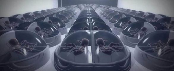 真正解放婦女的科技!我國(guó)科學(xué)家在"人造子宮"研究上取得新進(jìn)展